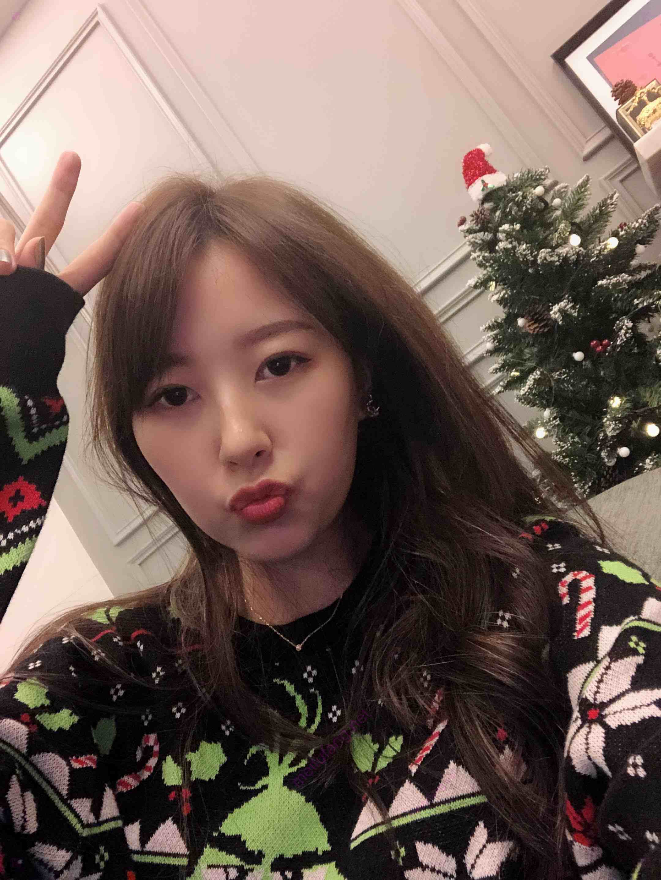 TWZP - 新闻传媒大学超高颜值美女